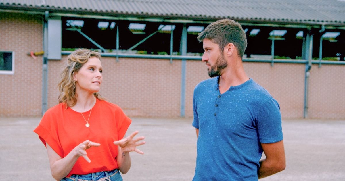 Recensie Boer Zkt Vrouw Op VTM Boer Niels Zal Prijskampen Winnen In