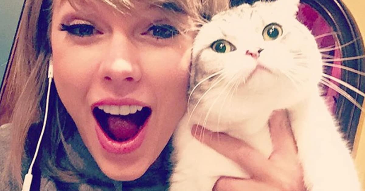 Olivia Benson De Poes Van Taylor Swift Is Meer Waard Dan U