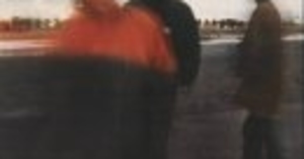 Review Yo La Tengo Summer Sun Humo The Wild Site