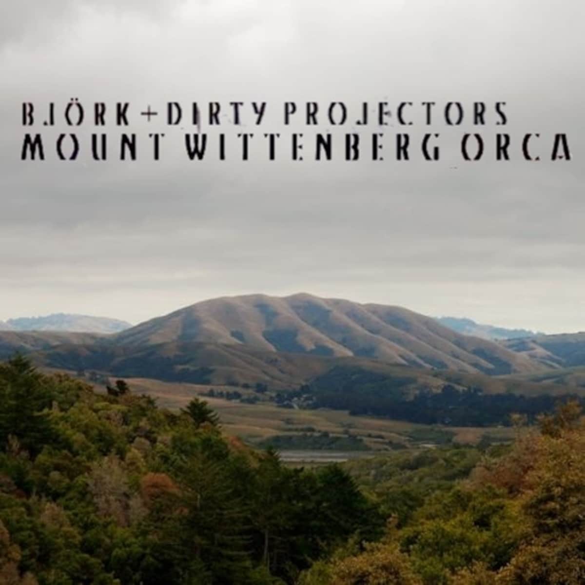 Dirty Projectors Mount Wittenberg Orca Dirty Projectors + Björk