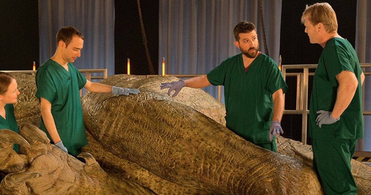 Thema: Dino Week | Humo: The Wild Site