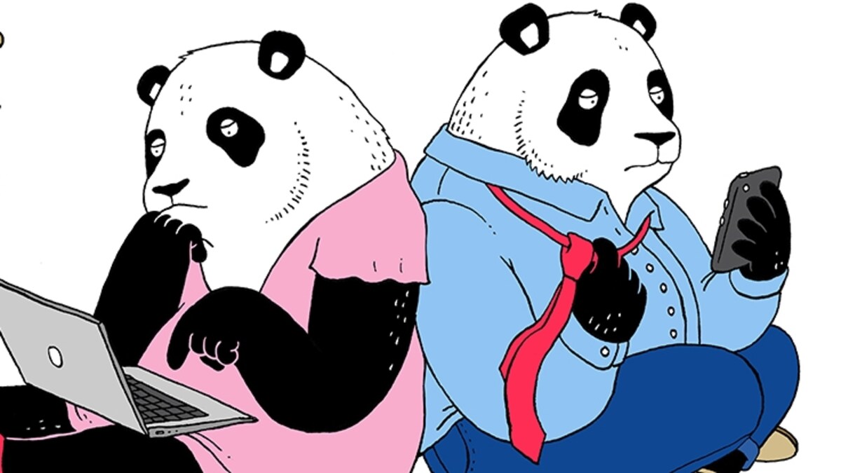 Twee keer per jaar seks: gaan we de panda achterna? | Humo: The Wild Site