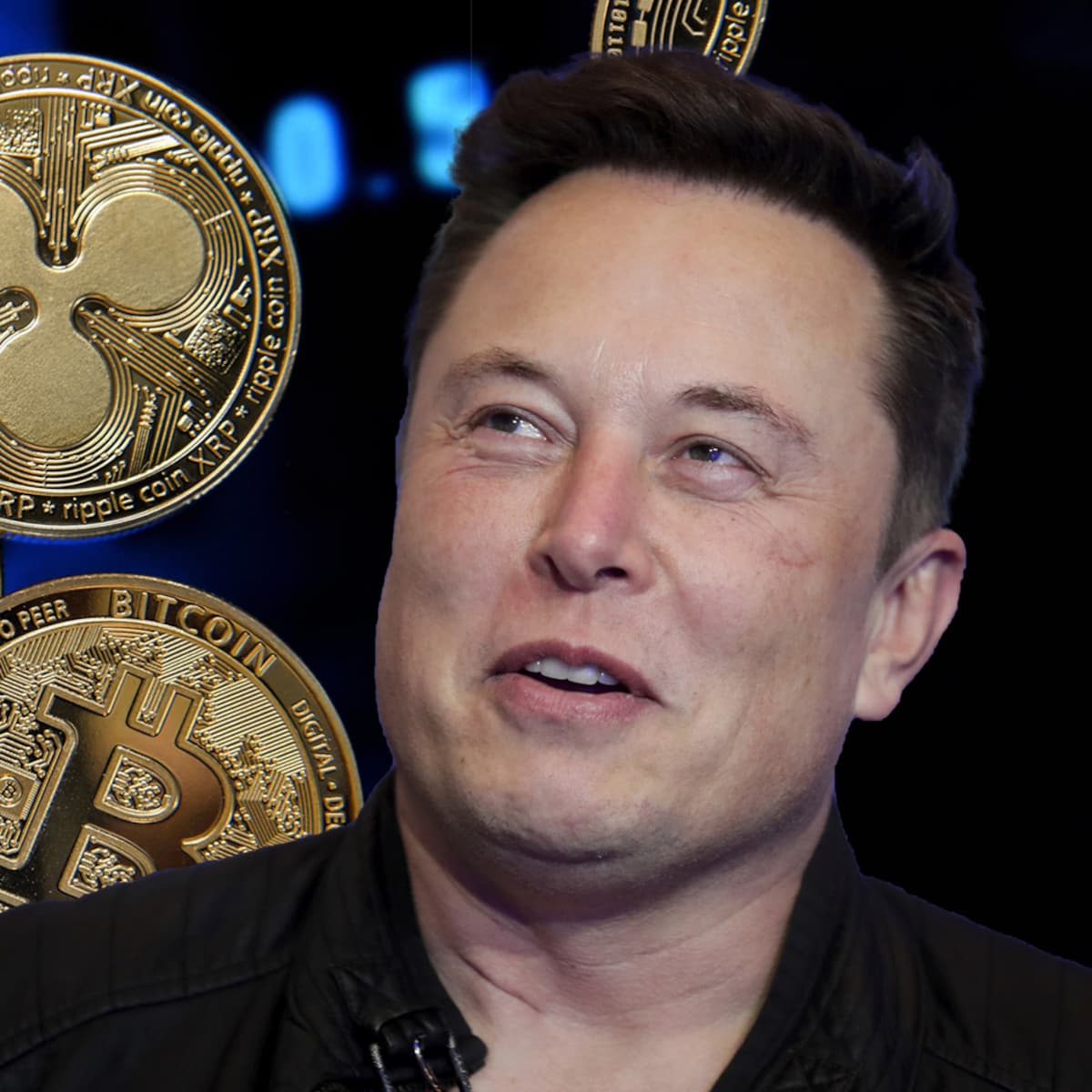 Bitcoin omhoog, bitcoin omlaag: Elon Musk kan het eigenhandig bepalen |  Humo: The Wild Site