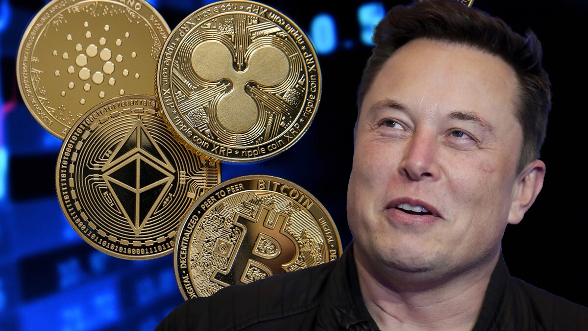 Nu Tesla zich ook op de cryptomunt stort: is het nog slim om bitcoins te  kopen? | Humo: The Wild Site