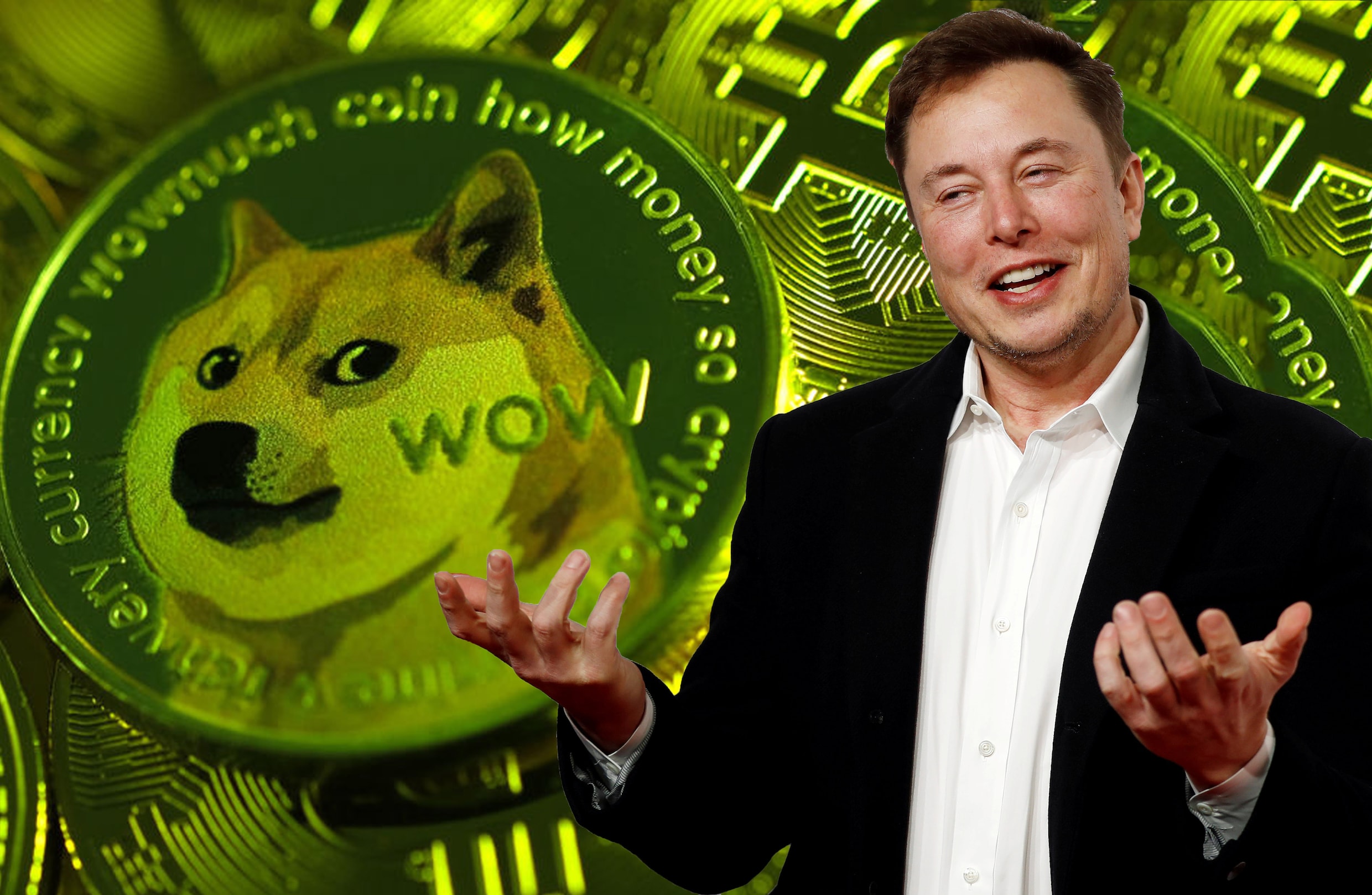 Bitcoin omhoog, bitcoin omlaag: Elon Musk kan het eigenhandig bepalen |  Humo: The Wild Site