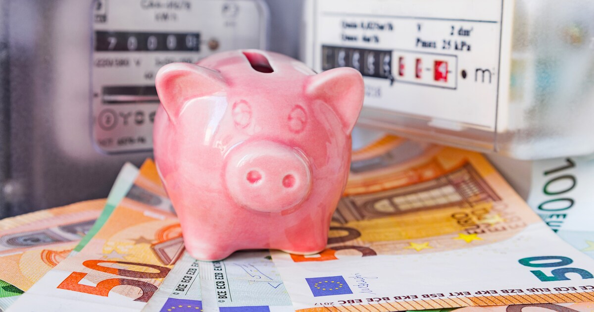 ‘De netbeheerders weten precies wie zich met elektriciteit verwarmt