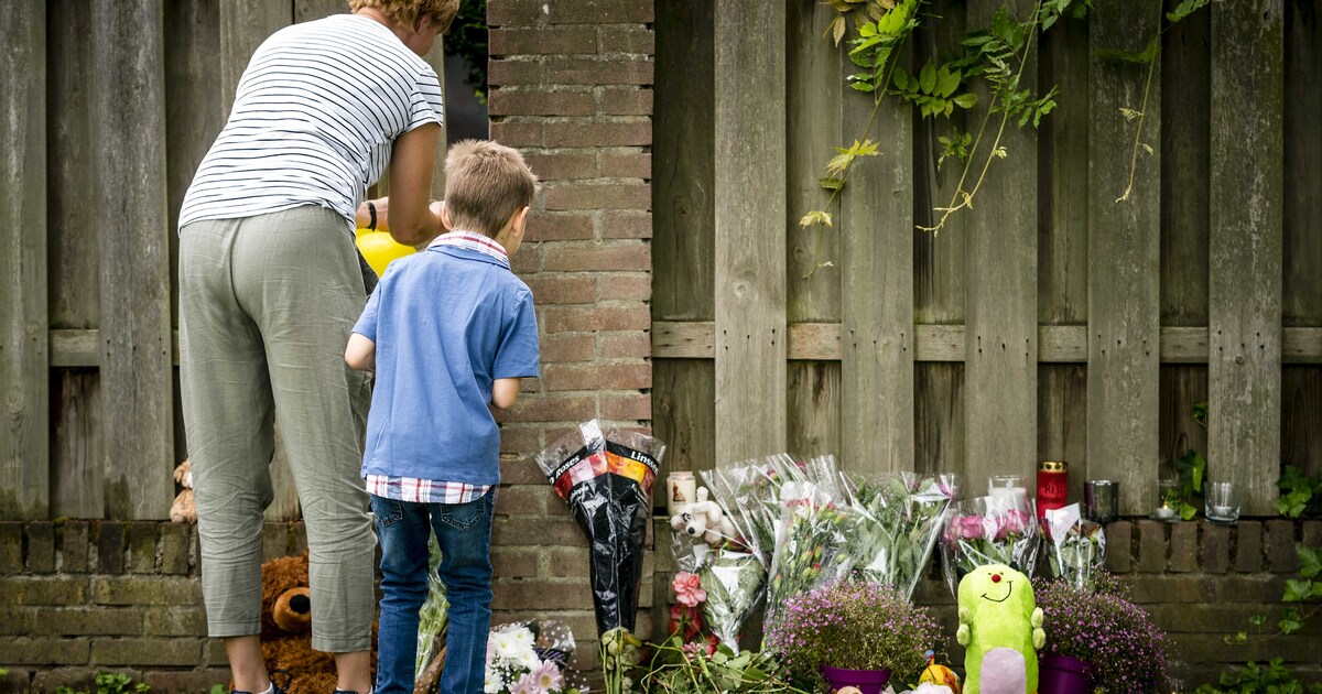 Donny M. Werd Voor Dood Van Jongetje Gino Al Veroordeeld Voor Misbruik ...