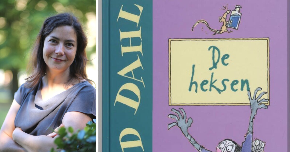 Professor jeugdliteratuur ‘Het is een beetje naïef om te denken dat het probleem is opgelost