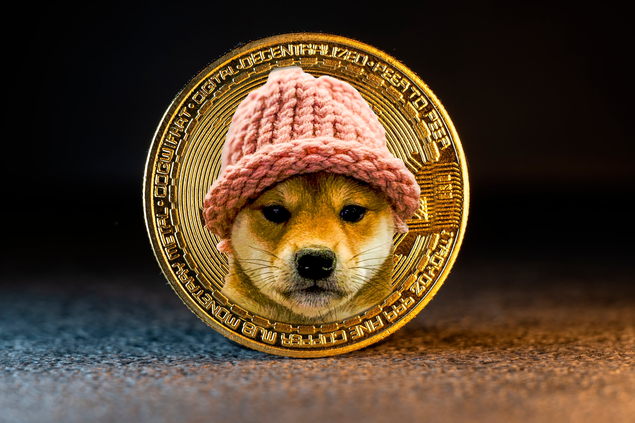 Van meme tot miljarden: hoe een hond met een hoed een cryptomunt met  duizenden trouwe volgers werd | Humo: The Wild Site