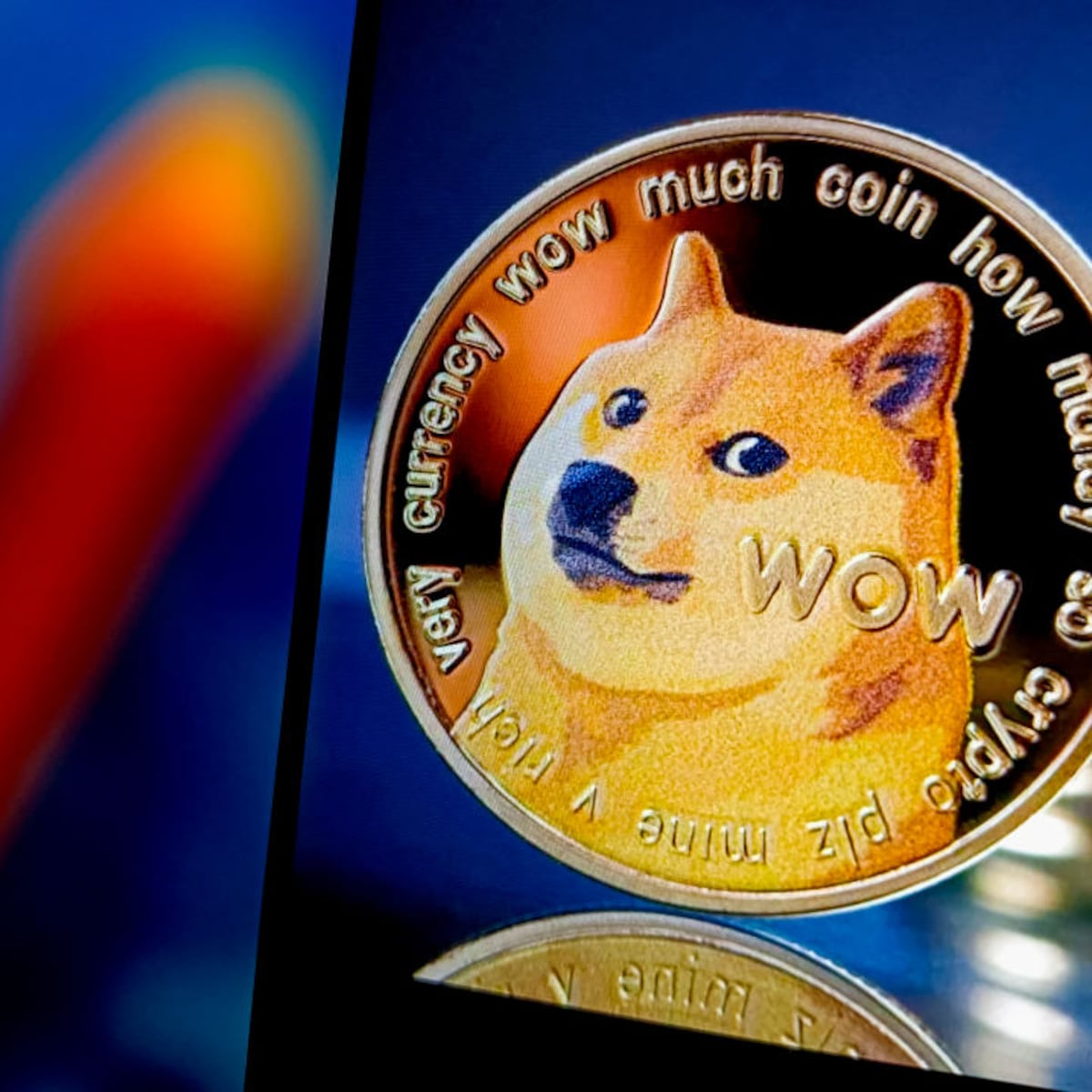 Van meme tot miljarden: hoe een hond met een hoed een cryptomunt met  duizenden trouwe volgers werd | Humo: The Wild Site