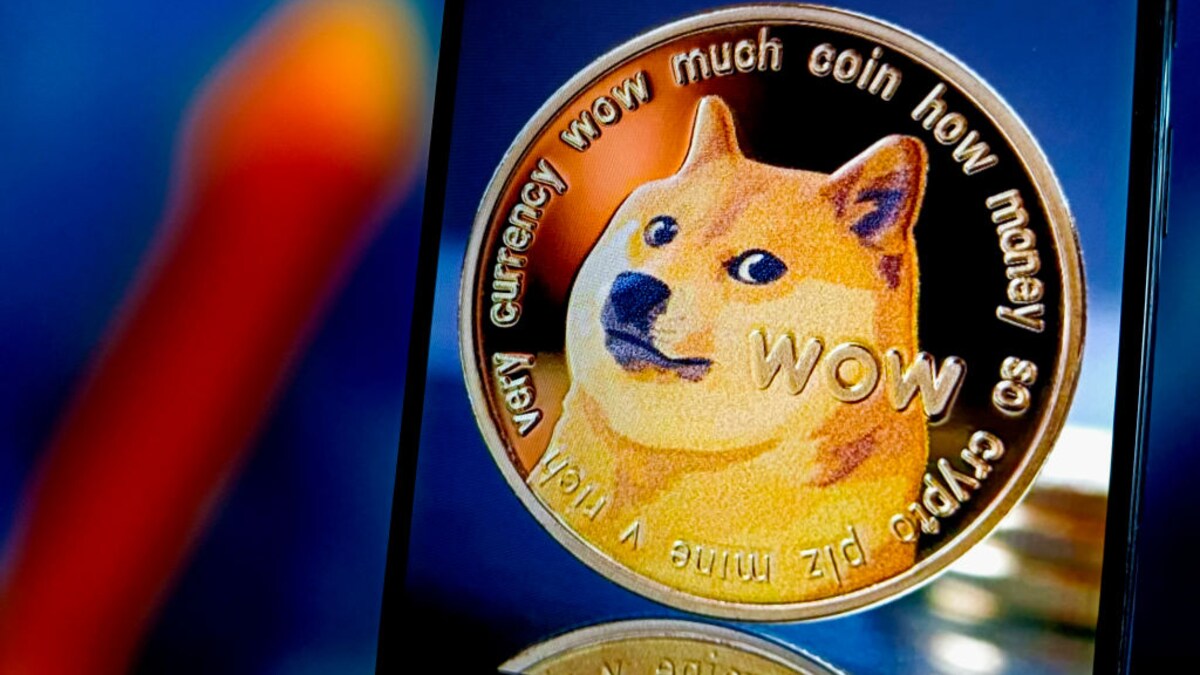 Van meme tot miljarden: hoe een hond met een hoed een cryptomunt met  duizenden trouwe volgers werd | Humo: The Wild Site