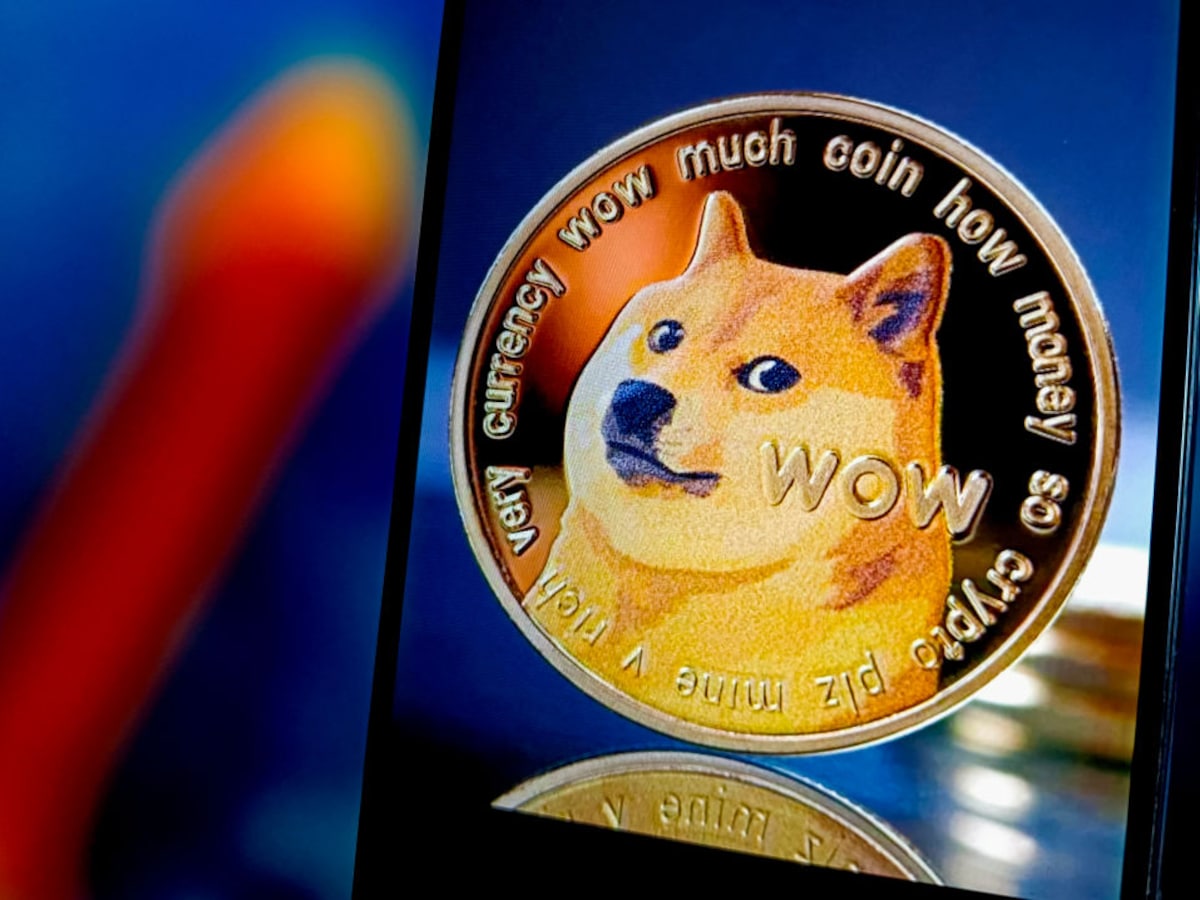 Van meme tot miljarden: hoe een hond met een hoed een cryptomunt met  duizenden trouwe volgers werd | Humo: The Wild Site
