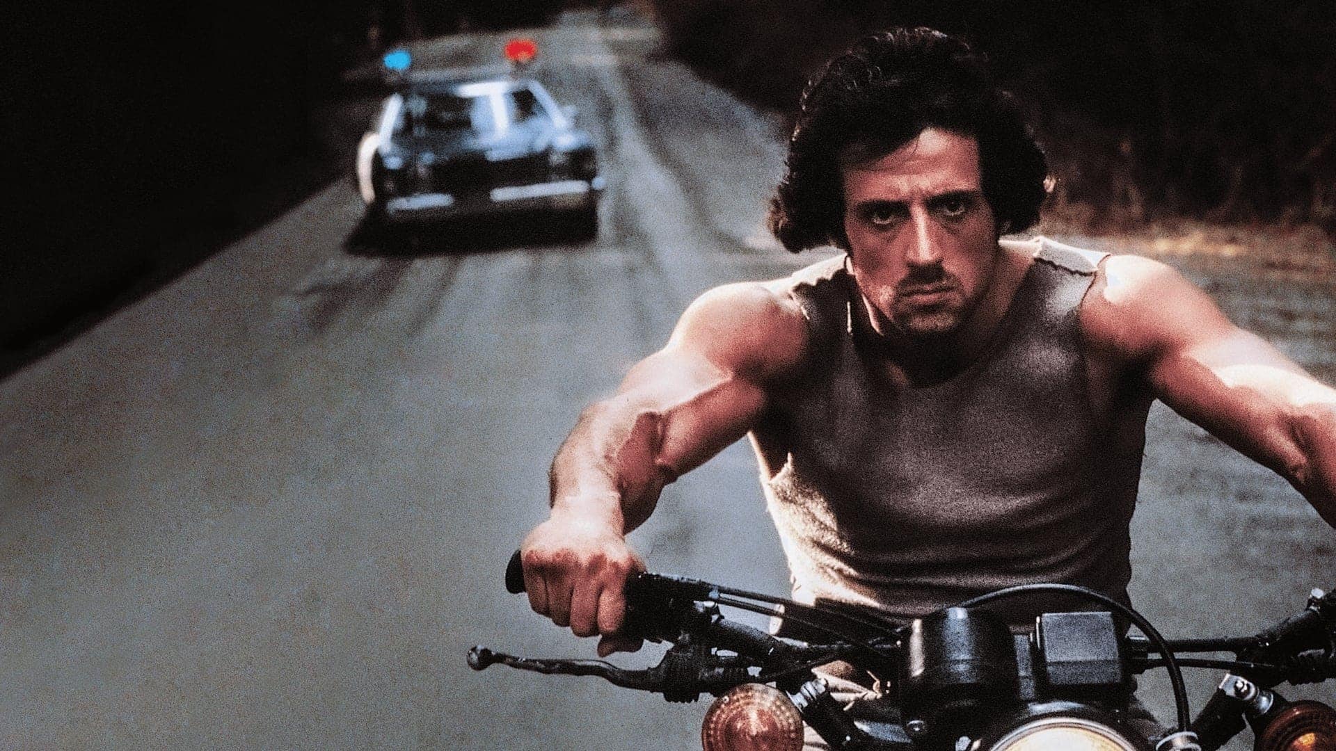 Een vechtende Brad Pitt, pratende vossen en een erotische cultclassic ...