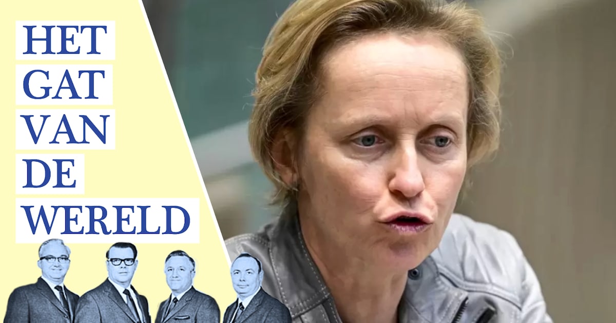 Dankzij minister De Ridder hebben sommigen minder last van de hittegolf dan anderen, ontdekte Het Ga