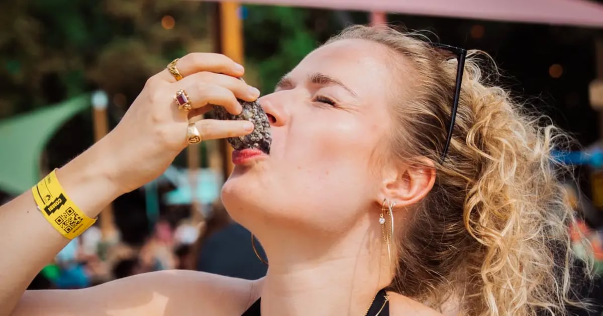 Oesters en ribbetjes op Pukkelpop: is het duurste eten op de weide zijn geld waard? ‘Dit kost véél o